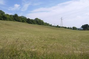 Photo 4- click for photo gallery